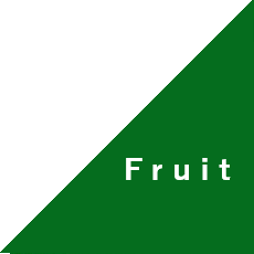 フルートコース名