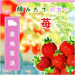 苺販売（バナー）